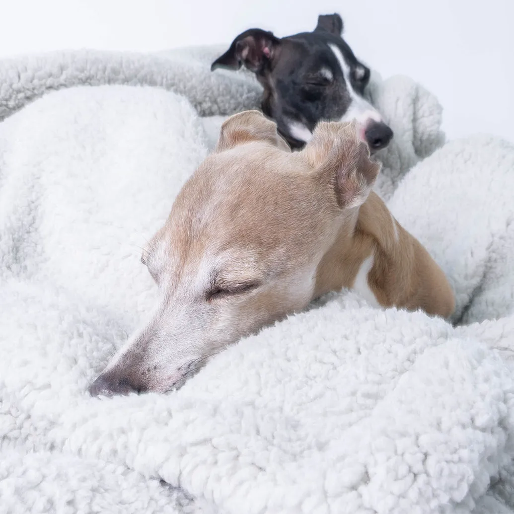 Sherpa Fleece Dog Blanket