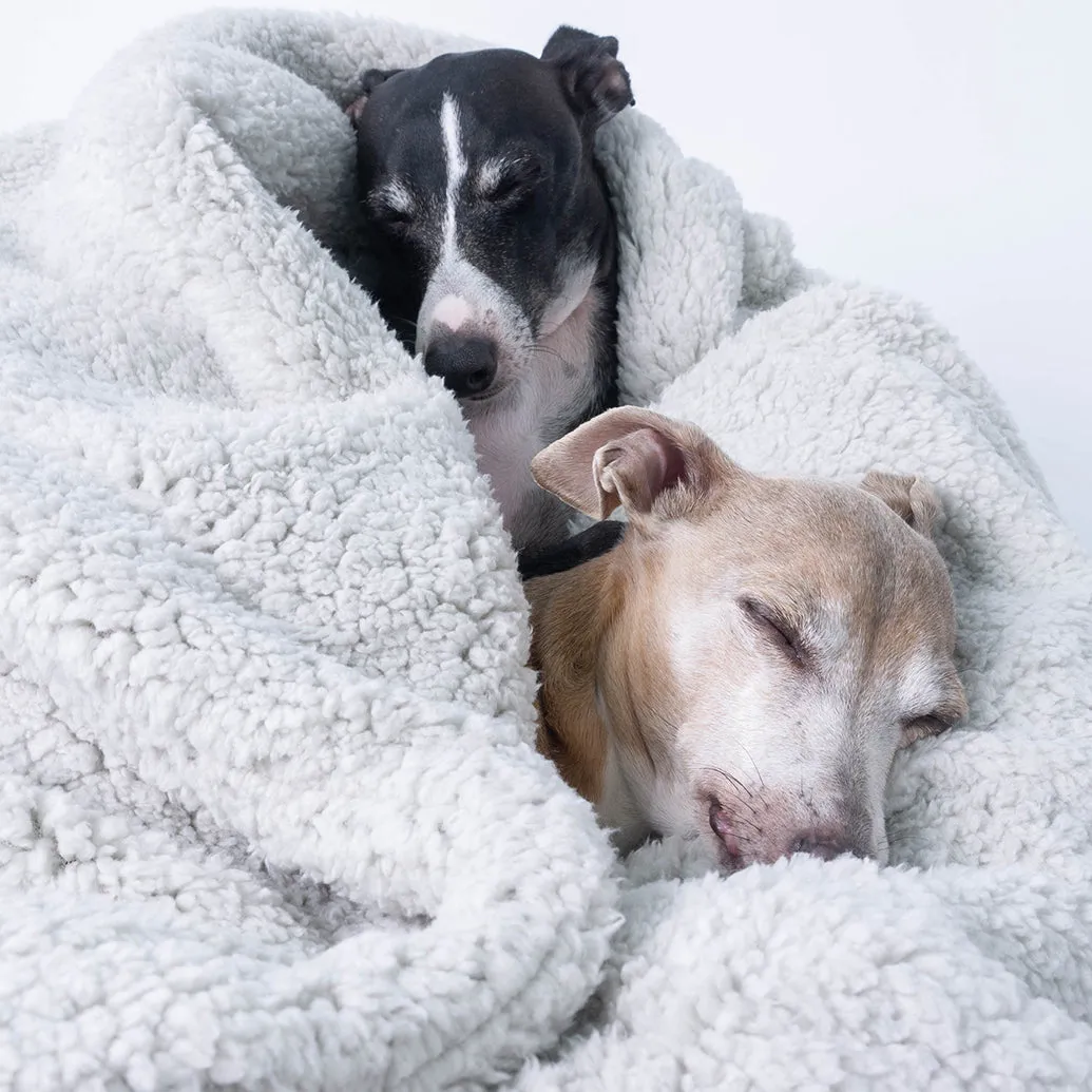 Sherpa Fleece Dog Blanket